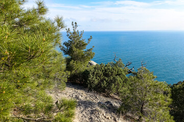 Nature photos on the Golitsyn trail. Landscapes of the Black Sea and the Crimean mountains in greenery. Crimea.