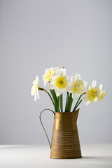 Spring flowers daffodil in vintage pot