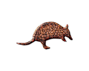 Armadillo pangolin Coffee Beans Icon Logo Symbol illustration