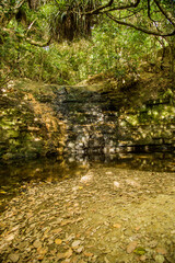 New Zealand - Shakespear Regional Park