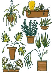 collection of plants set home