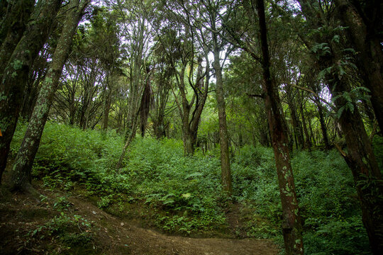 New Zealand - Shakespear Regional Park