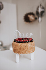 one year old child. Birthday