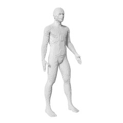 Low detailed abstract man 3d model. Male figure art.