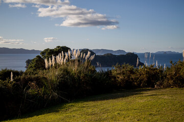 New Zealand - Whitianga - Coromandel