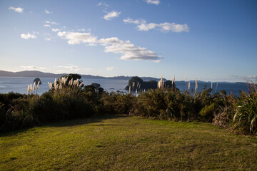 New Zealand - Whitianga - Coromandel
