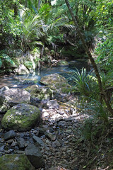 New Zealand- Pihi Waterfall