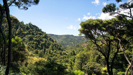 New Zealand- Pihi Waterfall