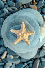 Beauty of starfish on Zen stones against background of sea stones. Starfish close-up backdrop for background on phone.