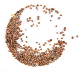 Seeds of radish edible root vegetable isolated on white background. Circle of seeds Raphanus raphanistrum red globe radish, salad vegetable.
