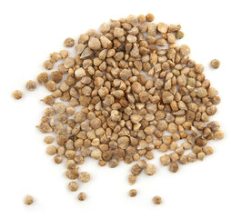 Seeds of spinach  isolated on white background. Pile of seeds Spinacia oleracea.