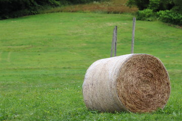 牧草地と牧草ロール