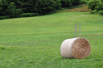 牧草地と牧草ロール © NOBUTA