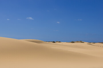 Fototapeta na wymiar Blue sky day at the dunes