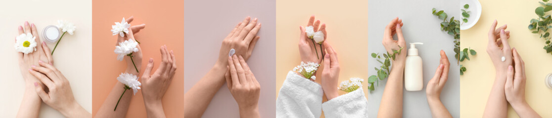 Female hands with cosmetic products and fresh flowers on color background