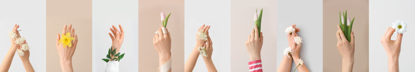 Collection of female hands with different spring flowers on light background