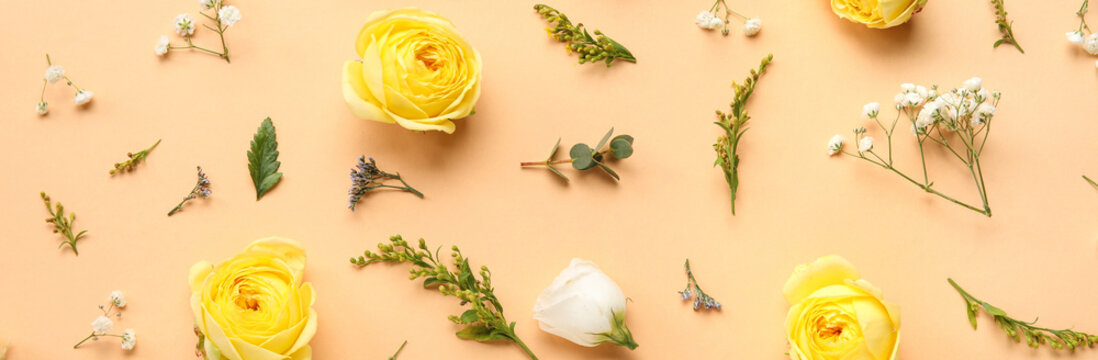 Beautiful fresh flowers on color background - Powered by Adobe