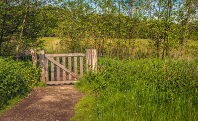 Wooden gate at the end of a sandy path. Surrounding the fence is a lush vegetation of wild plants. The photo was taken at the beginning of the spring season in the Netherlands.