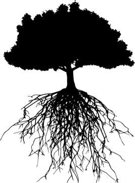 Tree With Roots Silhouettes Tree With Roots SVG EPS PNG