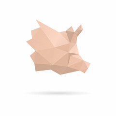 Pig head triangle abstract isolated on a white backgrounds, vector illustration