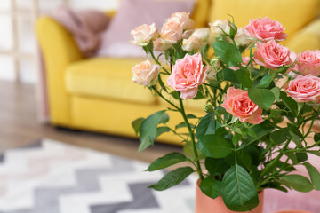 Vase with bouquet of beautiful fresh roses in room, closeup