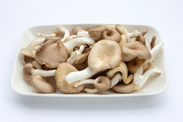 Fresh oyster mushroom in plate on white background.