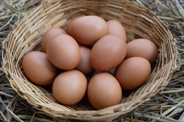 Fresh organic eggs in a straw nest