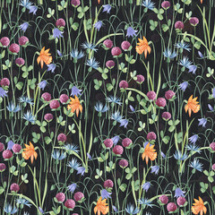 Watercolor botanical seamless pattern meadow wildflowers and garden plants. Hand drawn leaves, pink flowers, herbs and natural elements. For birthday, wedding card, invitation, greeting, mother day.