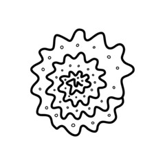 seashell sketch. vector illustration in doodle style 