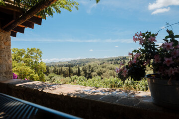 Flowering oleanders next to cypress trees. Countryside in Cyprus, Spain or Italy 