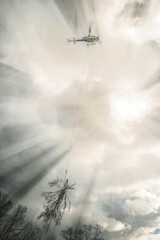 Holzernte mit Helikopter vor starkem Gegenlicht mit Wolken © lebaer