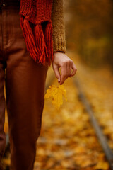 Closeup female hand holding autumn maple leaf