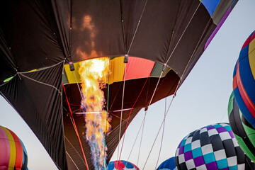 Obraz premium Hot Air Balloons