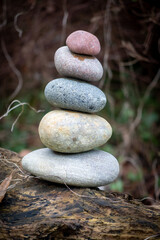 on the tree trunk stands a stone stack with different colored stones