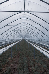 large foil greenhouses are empty in winter