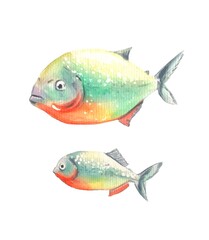 Colorful  fish.Watercolor  illustration.