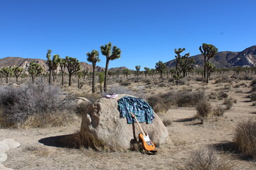 Joshua Tree Guitar