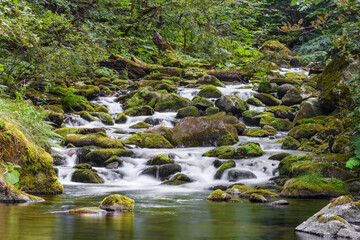 waterfall in the forest - river flowing through rocks
