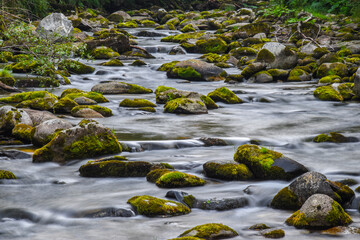 Fototapeta na wymiar River flowing through rocks with moss on them - river landscape