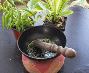 A Nepalese singing bowl sitting next to houseplants