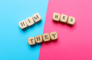 Gender pronouns made of wooden cubes on color background, flat lay