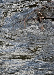 Strömung im Fluss