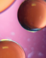 Colorful circles on a lavendar background