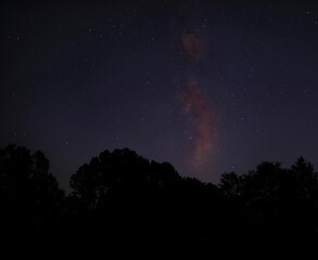 Fototapeta na wymiar Milky Way rising in North Carolina above a forest