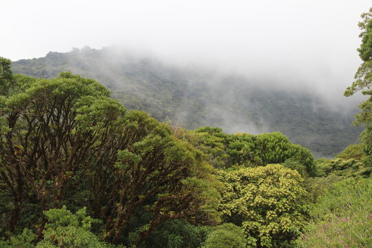 Cloudy Mountains At Braulio Carrillo National Park, Costa Rica