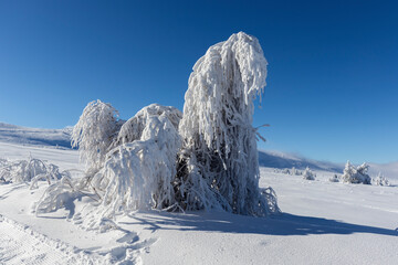 Aerial Winter view of Vitosha Mountain, Bulgaria