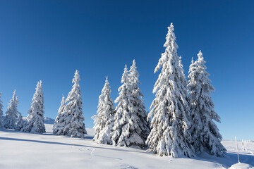 Aerial Winter view of Vitosha Mountain, Bulgaria
