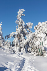 Aerial Winter view of Vitosha Mountain, Bulgaria