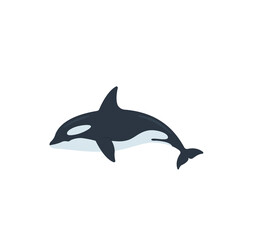 Killer whale vector isolated icon. Emoji illustration. Orca vector emoticon