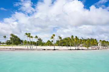 Juanillo beach with palm trees, white sand and turquoise caribbean sea. Cap Cana is a tourist area in Dominican Republic. Aerial view